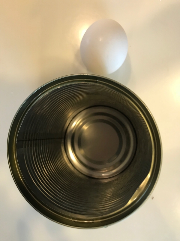 空き缶と卵１個を準備する（筆者撮影）