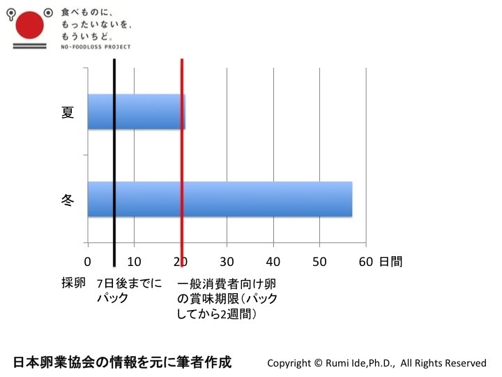 夏と冬で生で食べられる期間を青い棒グラフで示した（日本卵業協会の情報より）。産卵から7日以内にパックされ（黒線）そこから2週間（赤線）で賞味期限が設定されている。しかし、実際は、茹でたり焼いたり、火を通せば十分食べられる（日本卵業協会の情報を元に筆者作成）