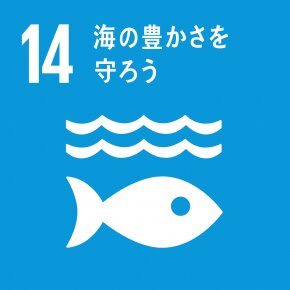 SDGs（持続可能な開発目標）の14番目のゴールは「海の豊かさを守ろう」（国連広報センターHPより）