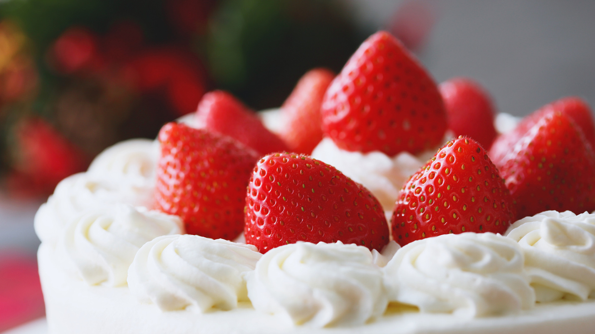 クリスマスケーキ 大量廃棄の実態 一日500kgがブタのエサに 家庭ゴミにはホールの半分が捨てられ 井出留美 個人 Yahoo ニュース