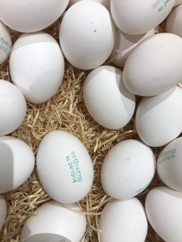 卵を生で食べることもあるイタリアでも賞味期限は日本より長い傾向にある。写真の卵は撮影日から数えても賞味期限まで20日間ある。日本では消費者向けの卵は一律14日間（筆者撮影）