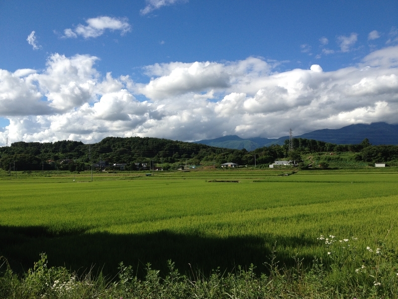 長野県の風景（筆者撮影）