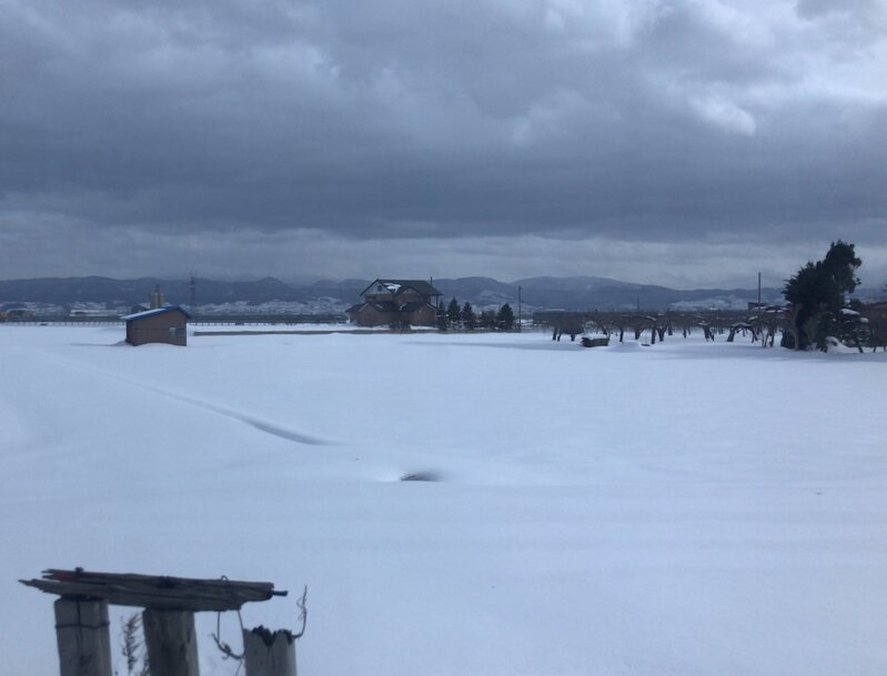 取材と講演で訪れた青森県は雪が積もっていた（筆者撮影）