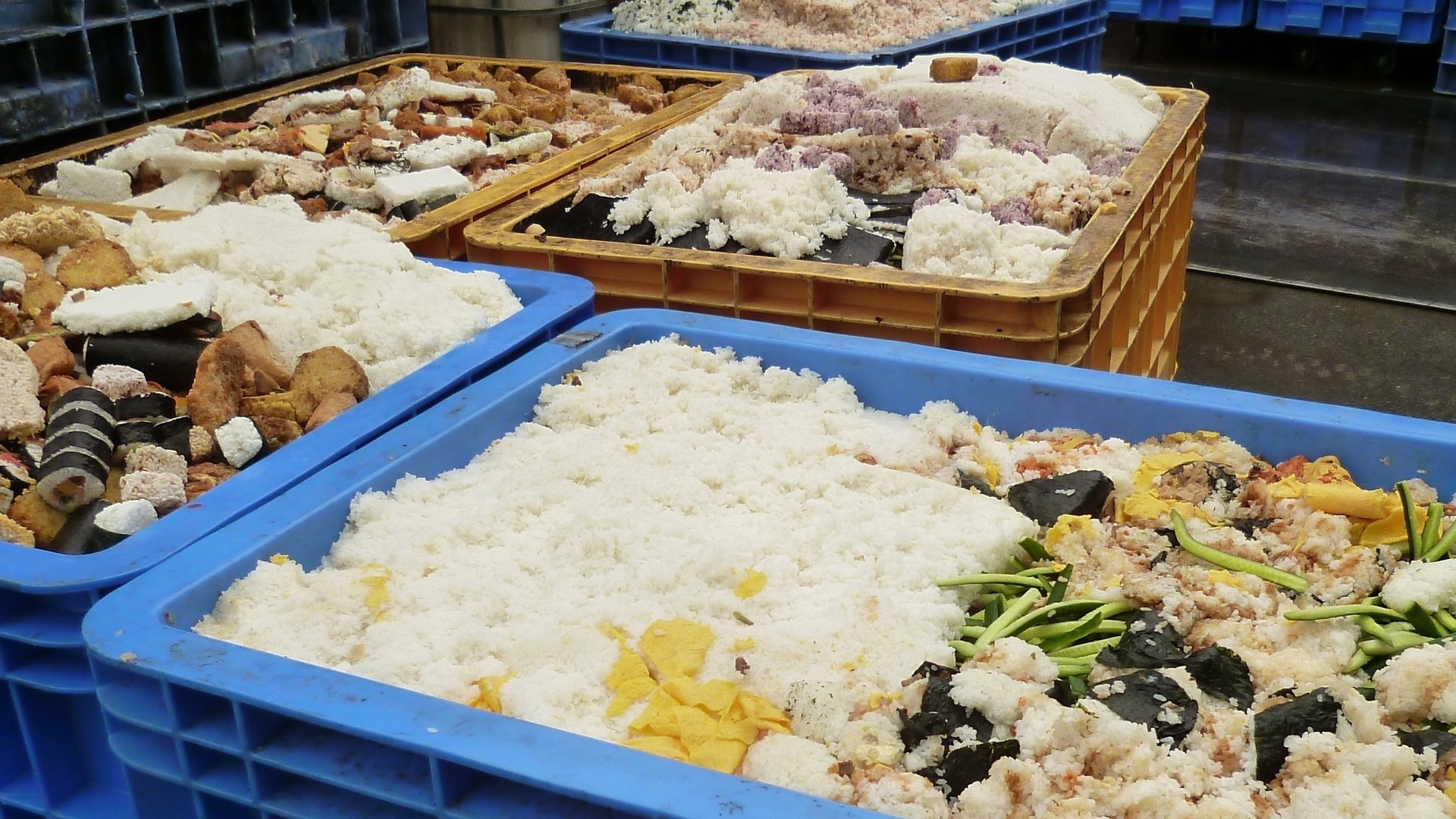 大学名誉教授 恵方巻き廃棄試算は10億2800万円 おそらく経済的損失はこれを上回るであろう理由とは 井出留美 個人 Yahoo ニュース