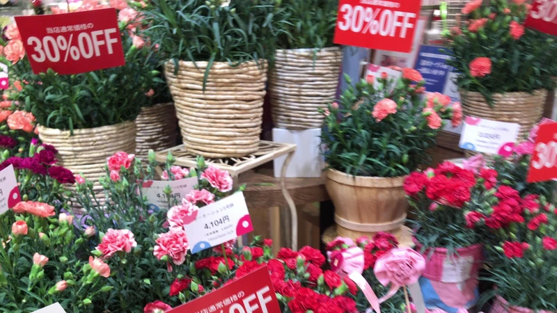 もうやめて 母の日の花ロス 井出留美 個人 Yahoo ニュース もうやめて 母の日の花ロス 井出留美 個人 Yahoo ニュース