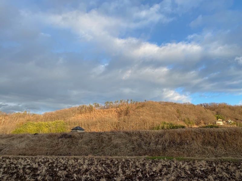 信州の風景（筆者撮影）