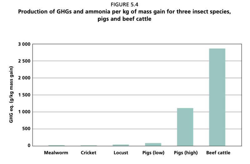 食用昆虫3種（ミールワーム、コオロギ、バッタ）と豚・牛の温室効果ガスおよびアンモニアの排出量比較（2013年発行、FAOの報告書、Figure 5.4より）