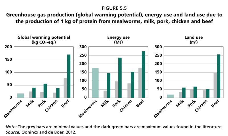ミールワーム、牛乳、鶏・豚・牛の肉1kgあたりの温室効果ガス排出量（地球温暖化係数）、エネルギー量と土地利用量の比較（2013年FAO報告書、Figure5.5より）