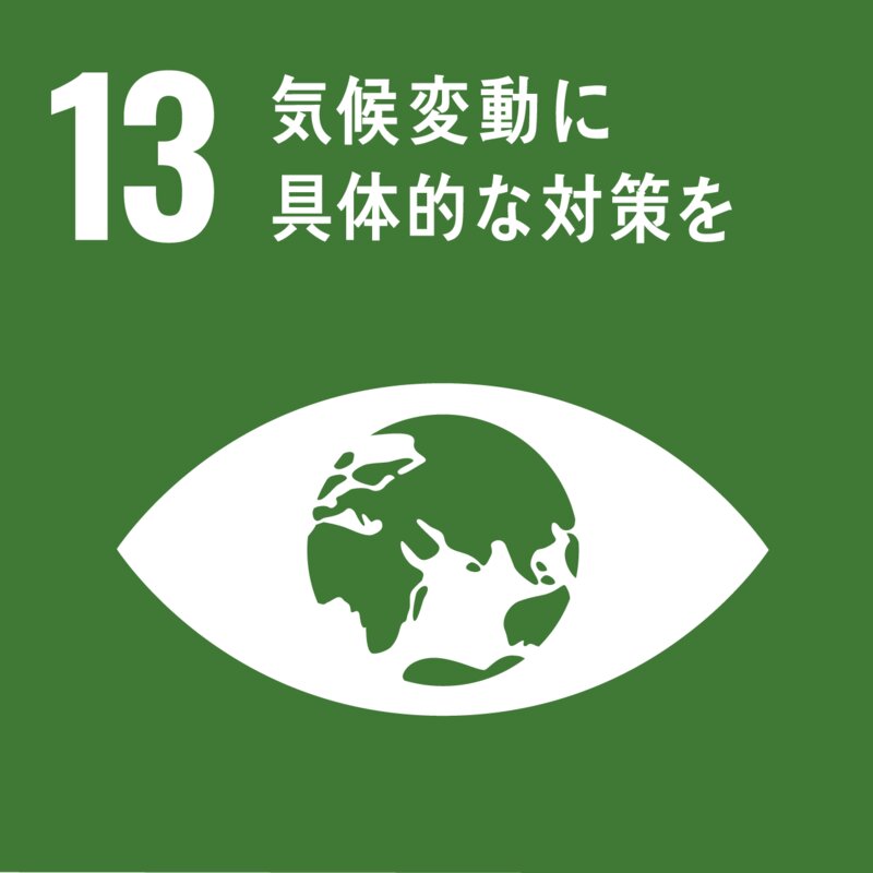 SDGs13番のゴール（国連広報センターHP）