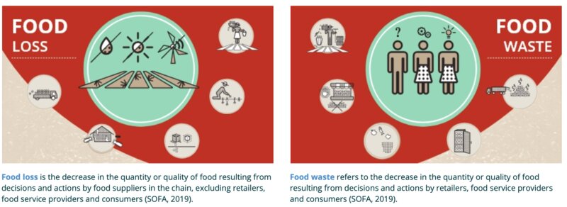 Food loss and waste reduction, measurement and policy（FAO official website）