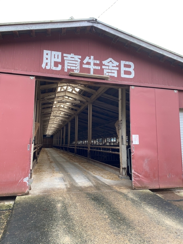 福井県池田町の肥育牛舎（筆者撮影）