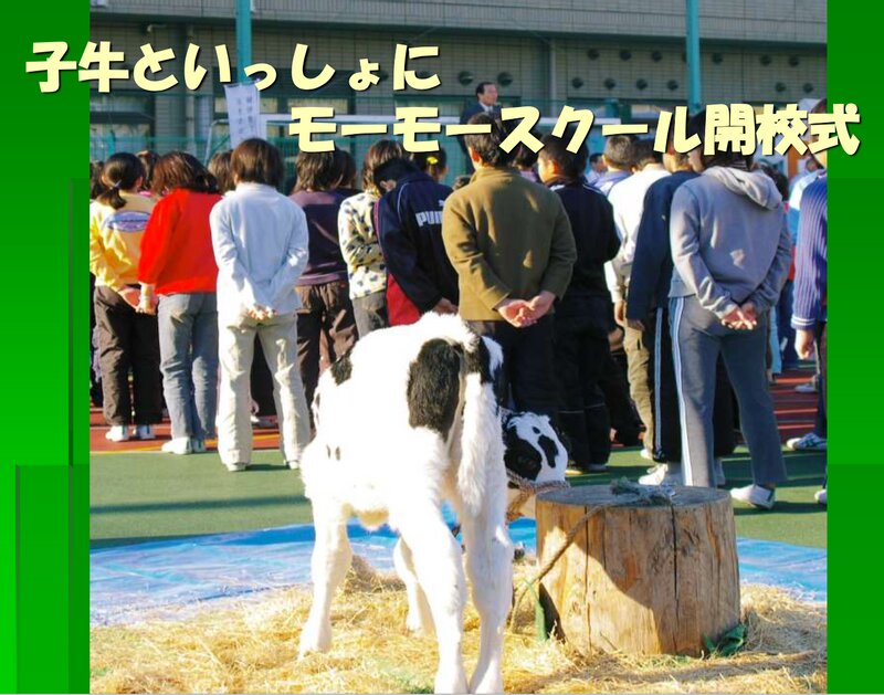 全校生徒で子牛を迎え、開校式が行われた（宮島則子先生提供）