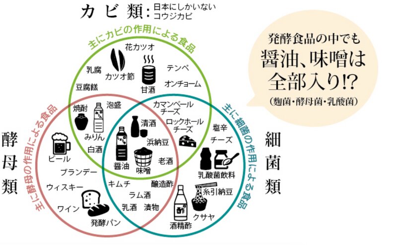 出典：『麹のおはなし』ヤマト醤油味噌　小冊子および公式サイトよりhttps://shop.yamato-soysauce-miso.co.jp/blog/2020/10/01/what-is-fermented-food/