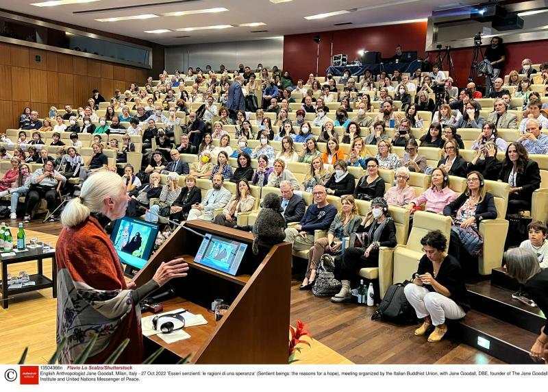 English Anthropologist Jane Goodall, Milan, Italy - 27 Oct 2022