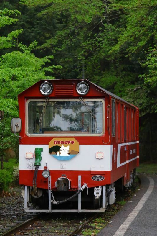 特製ヘッドマークを付けた井川線の列車（イメージ）
