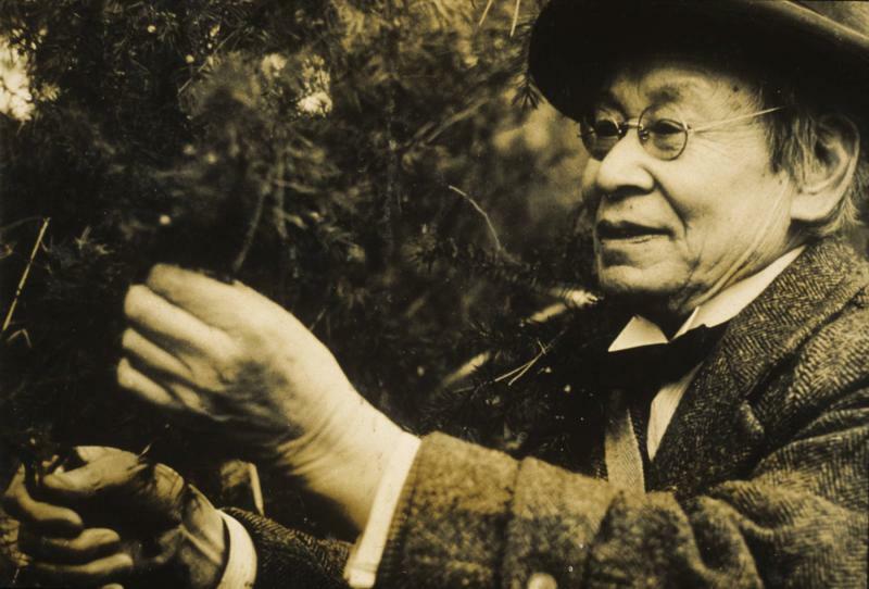 「らんまん」の主人公のモデル、牧野富太郎　「日本の植物分類学の父」と呼ばれている（写真提供：高知県立牧野植物園）
