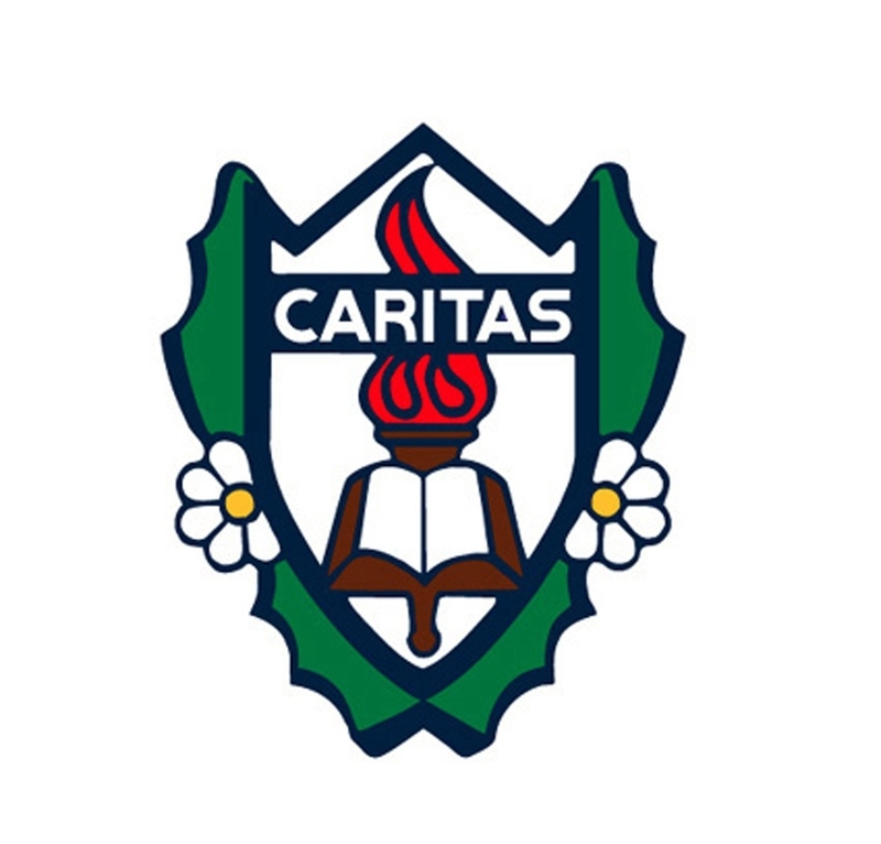 カリタス学園の校章。盾(正義の象徴)燃えるともしび(キリストの愛と真理の輝き)マーガレット(創立者マルグリット・デュービルの象徴)「本」(学問の象徴)を表す。