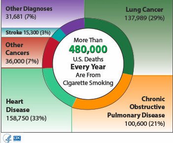 喫煙に関連する疾病とその疾病で死亡した人々の数。グラフは、時計回りに、肺癌、慢性閉塞性肺疾患、心臓病、その他の癌、脳卒中、その他の疾病　出典：CDC