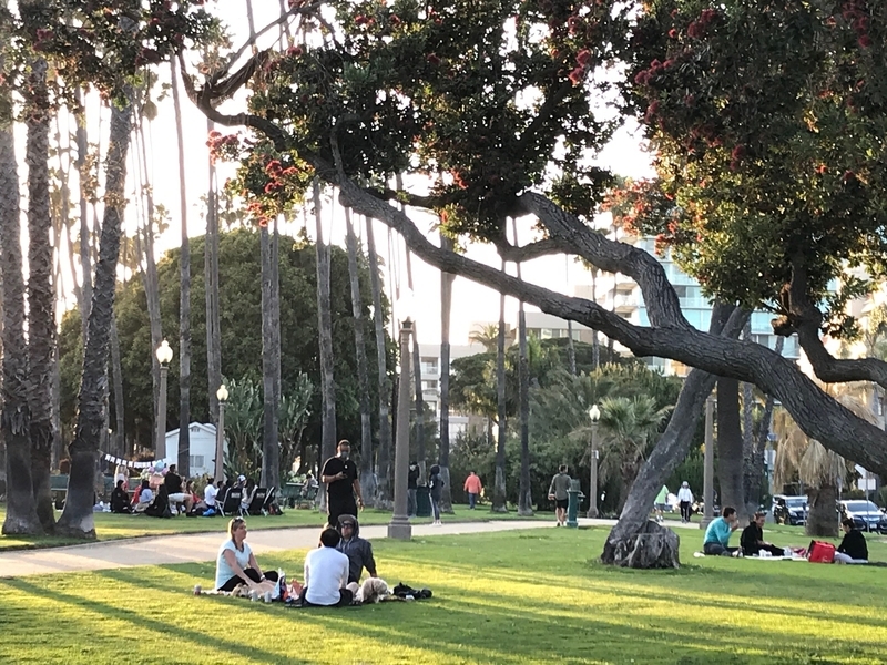 パラセーズ公園ではピクニックをしたり、友人と歓談したりする人々が増えているが、マスクを着用していない人が目につく。筆者撮影