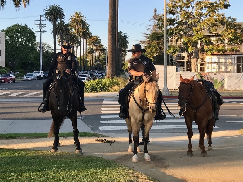 パラセーズ公園には騎馬警官も出現。市民と交流し、警官に対する信頼回復を図っているようだ。筆者撮影
