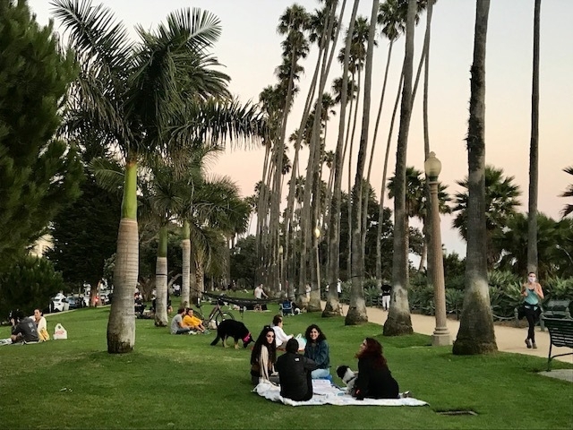 サンタモニカのパリセーズ公園は、週日からたくさんのピクニック客で賑わっている。筆者撮影