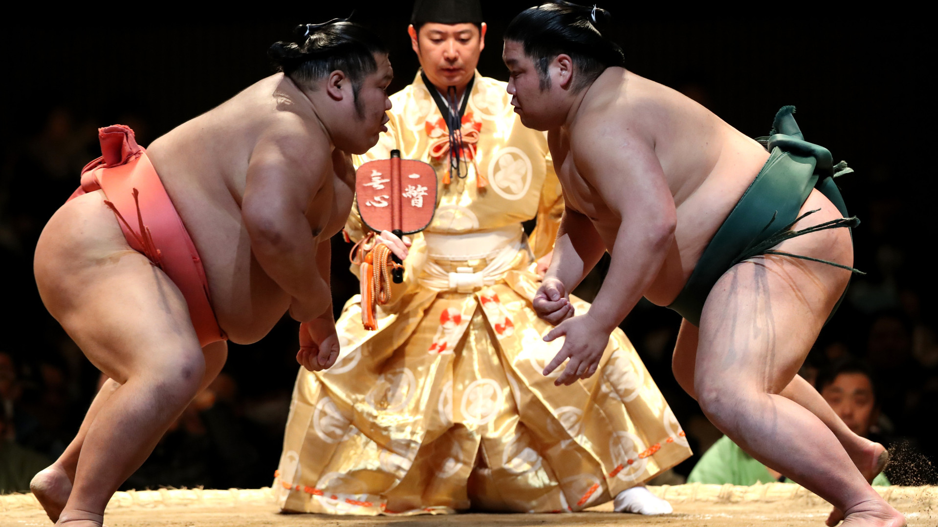 大相撲七月場所は観客を入れて開催。生観戦できる喜びよりも先に考える