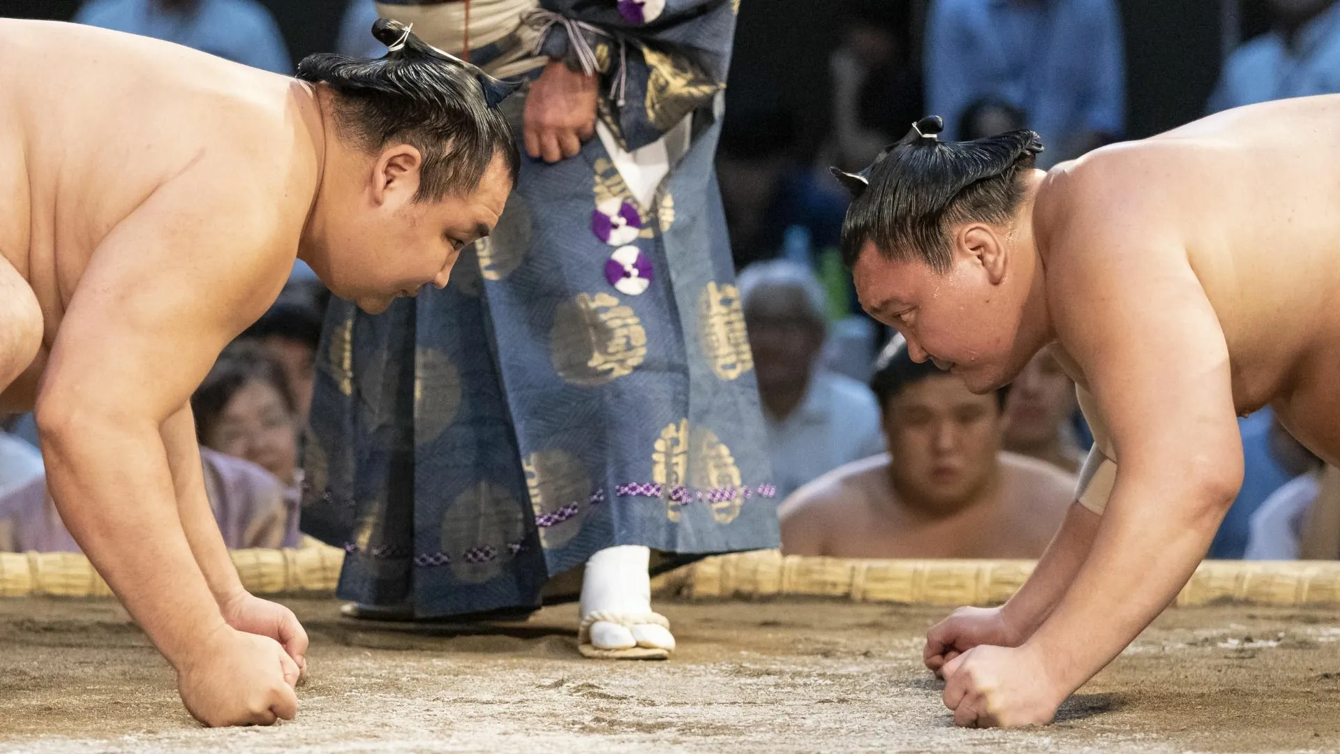 白鵬 横綱の綱の切れ端 ガラス木箱付き - その他