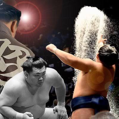 引退の元幕内・照強が6月に両国国技館で断髪式 19歳から闘病し 引退の元幕内・照強が6月に両国国技館で断髪式 19歳から闘病し