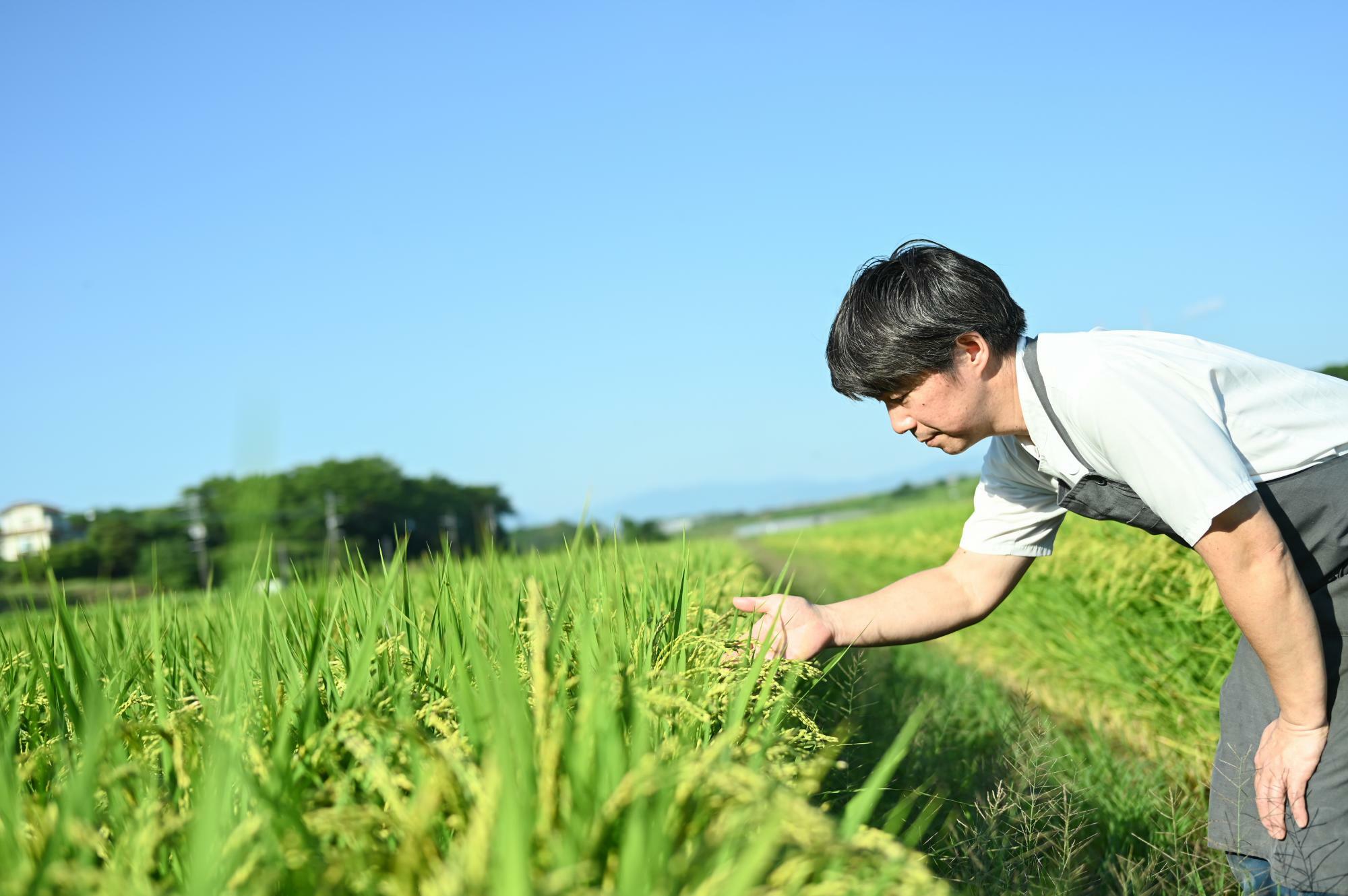 （筆者撮影）