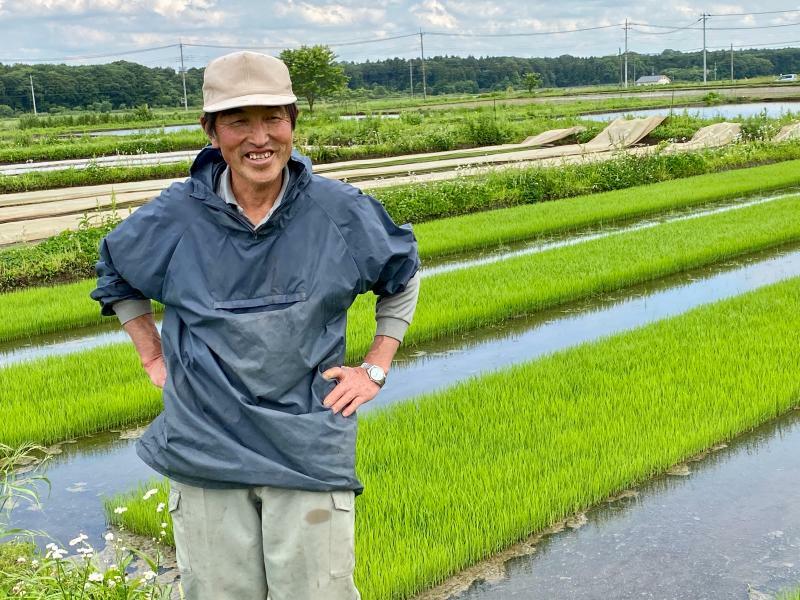 舘野廣幸さんがつくる無農薬・無化学肥料米の「かえる米」はおいしいと評判だ（筆者撮影）