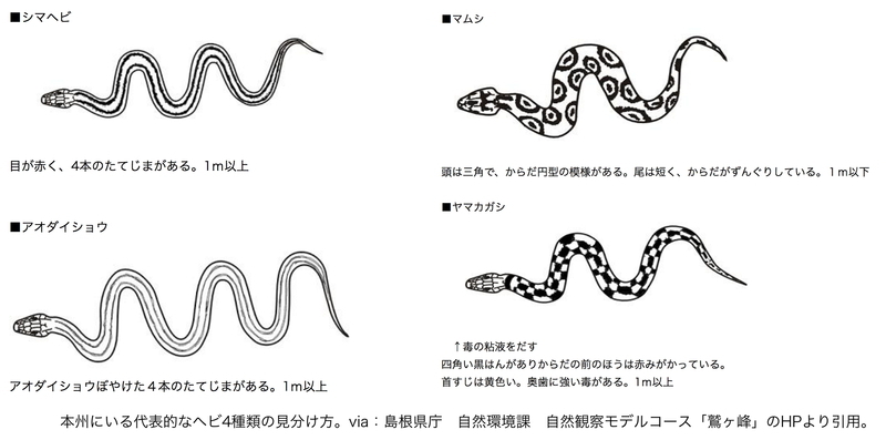 ヤマカガシなど 危険生物 の見分け方 石田雅彦 個人 Yahoo ニュース