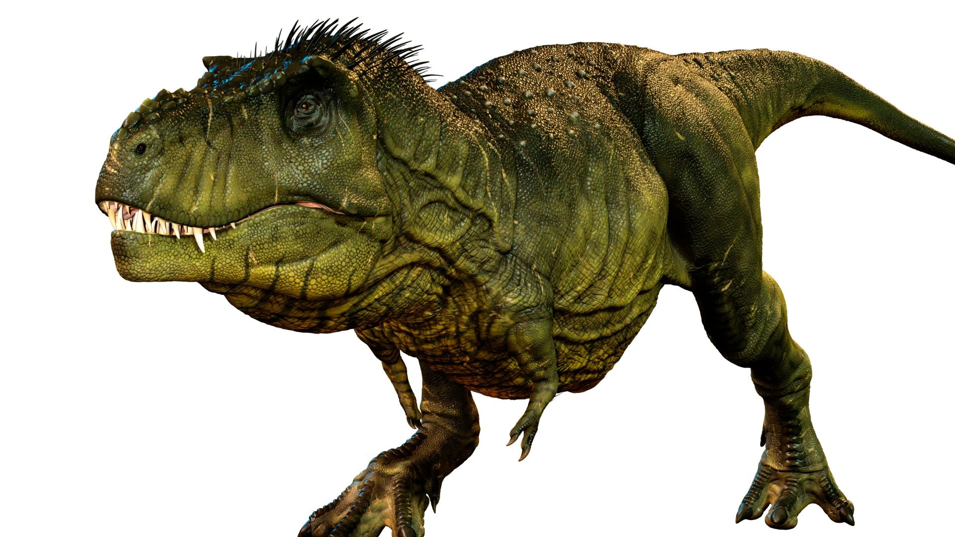 恐竜　化石標本　北米大陸獣脚類　ティラノサウルス　T-REX ティラノサウルス“タイソン”全身骨格が特別展「恐竜博2023」で
