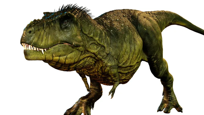 T レックスの両腕なぜ極端に小さい 交尾 とどめ 打撃 有力説は 石田雅彦 個人 Yahoo ニュース T レックスの両腕なぜ極端に小さい 交尾 とどめ 打撃 有力説は 石田雅彦 個人 Yahoo ニュース