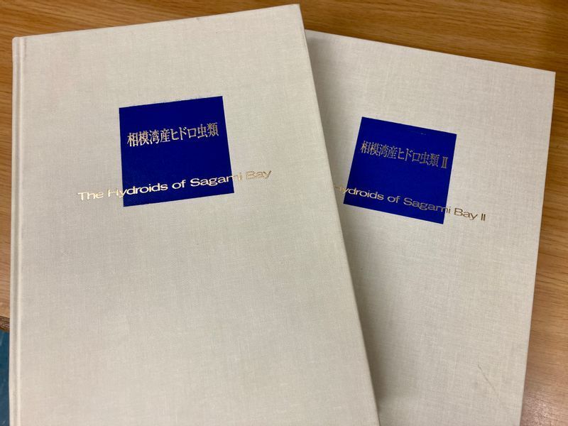 昭和天皇が残した『相模湾産ヒドロ虫類』の第1巻と第2巻。第1巻には相模湾で昭和天皇自身が採集した無銷亜目の標本67種が記載され、その中の17種が新種、数種が未同定の種だった。また、サンゴ様のヒドロ虫は無銷亜目には入れないとし、収録から外している。こうした標本の多くは、皇居内にある生物学研究所に保管されている。写真撮影筆者