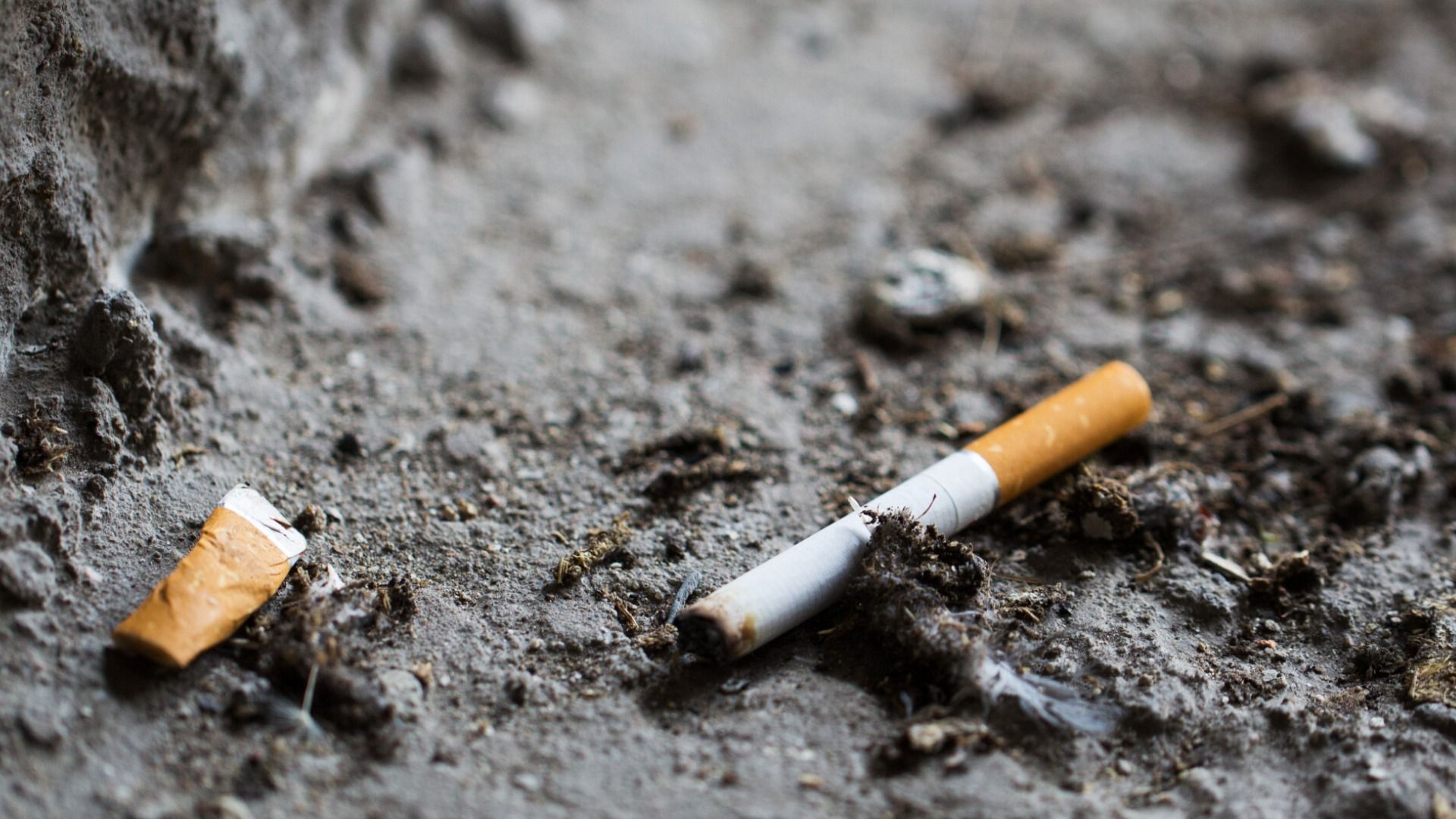 ポイ捨てタバコの「吸い殻」はどれくらい「環境へ悪影響」をおよぼすのか（石田雅彦） - エキスパート - Yahoo!ニュース