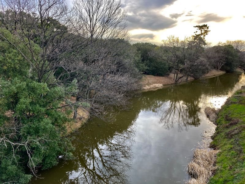 世界文化遺産「百舌鳥・古市古墳群」大山古墳（仁徳天皇陵）の周濠。撮影筆者