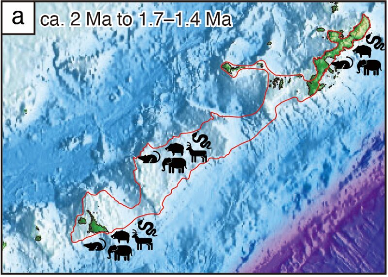約200万年前に地質学上の大イベントが起き、沖縄本島とOMSP（沖縄─宮古海台）、宮古島に至る全長400キロメートルの陸地（赤い実線）ができたという。資料提供：井龍氏