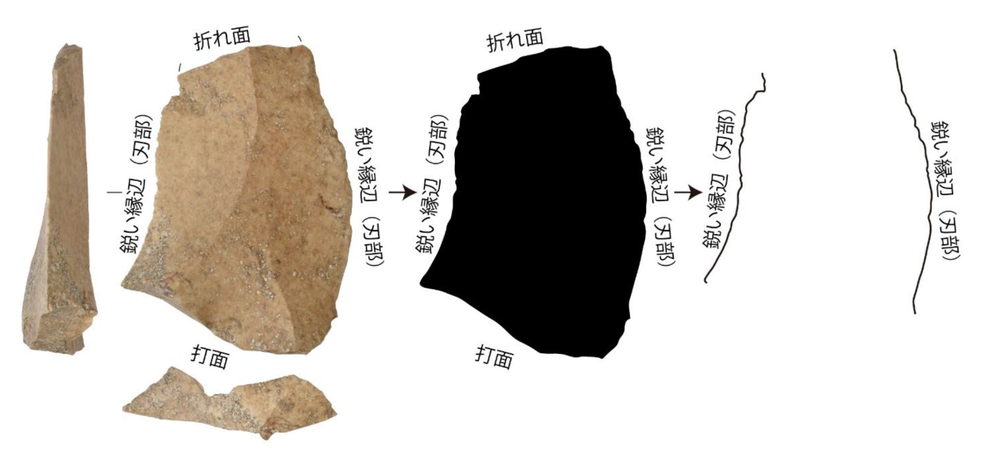 打製石器の刃部とその長さの測定では、デジタル写真をポリゴン化して調べたという。名古屋大学のリリースより。