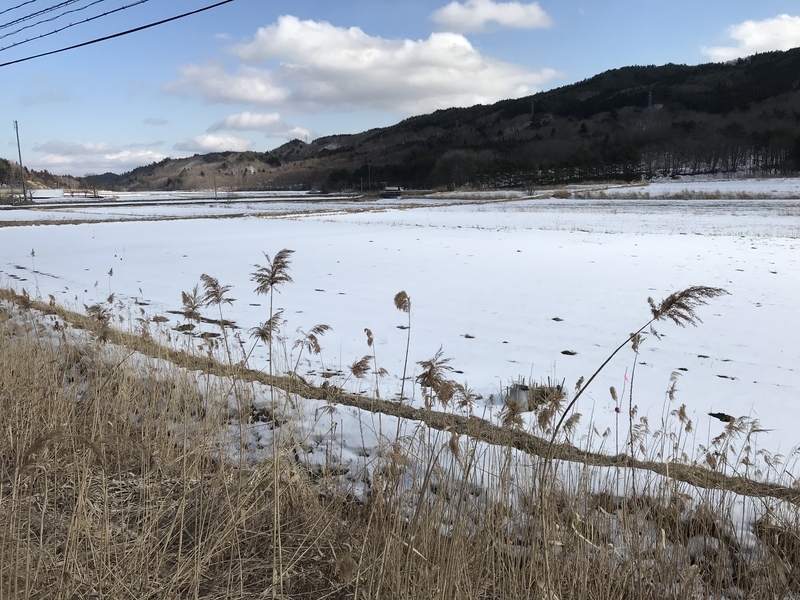 福島県飯舘村（2018年2月、筆者撮影）