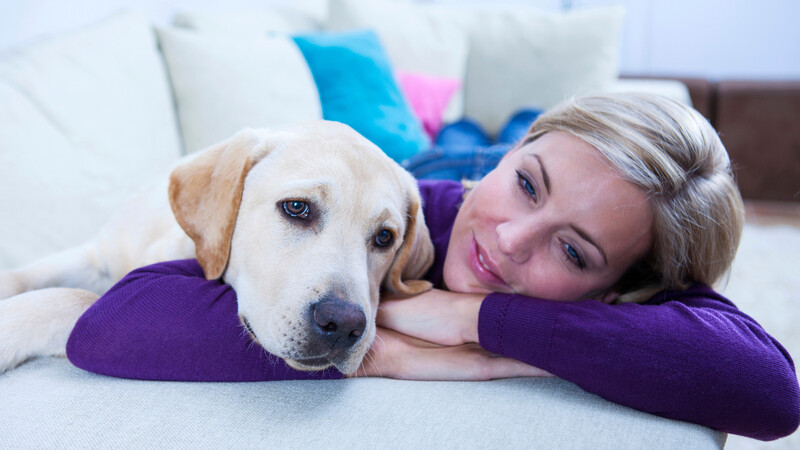 オス犬にモテる獣医師が動物との性愛でノンフィクション賞受賞 聖なるズー を読み解く 石井万寿美 個人 Yahoo ニュース オス犬にモテる獣医師が動物との性愛でノンフィクション賞受賞 聖なるズー を読み解く 石井万寿美 個人 Yahoo ニュース