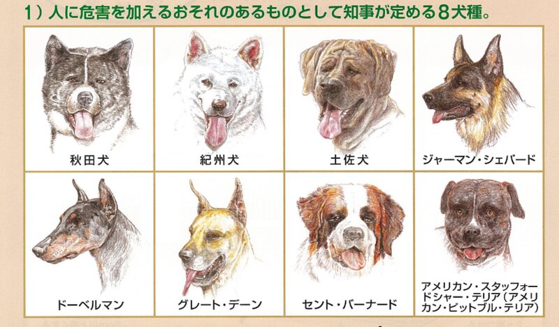闘犬に襲われて女性が重傷の日本はどんなヤバい犬も飼い放題 最も凶暴な種類とは 石井万寿美 個人 Yahoo ニュース 闘犬に襲われて女性が重傷の日本はどんなヤバい犬も飼い放題 最も凶暴な種類とは 石井万寿美 個人 Yahoo ニュース