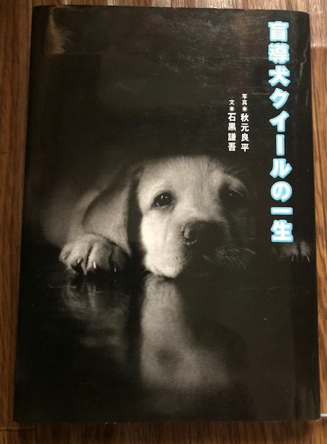 『盲導犬クイールの一生』（石黒謙吾・文藝春秋）の表紙、筆写撮影