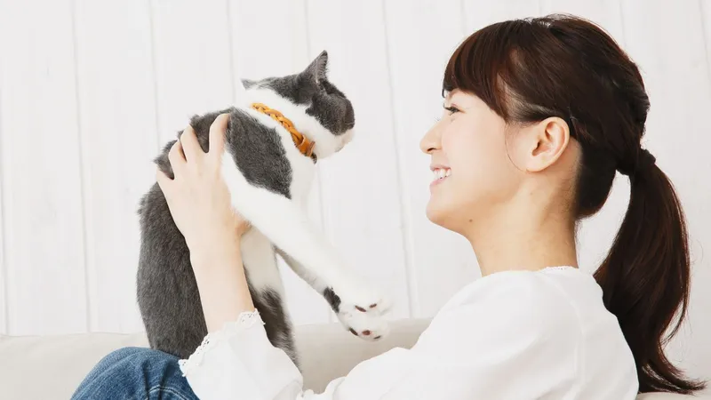 ネットで話題の 猫吸い ニャンコは麻薬なのか その効果を探る 石井万寿美 個人 Yahoo ニュース ネットで話題の 猫吸い ニャンコは麻薬なのか その効果を探る 石井万寿美 個人 Yahoo ニュース