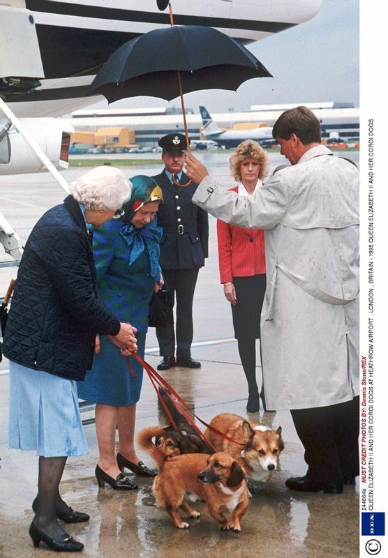 エリザベス女王と飼い犬 (1995年)