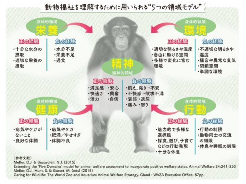 「札幌市円山動物園　動物福祉（アニマルウェルフェア/Animal Welfare ）とはのサイト」より