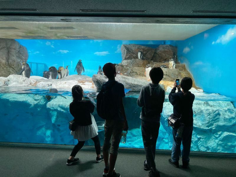 フリースクールネモ（千葉県）のメンバーが水族館で学んでいるようす（ネモ提供）
