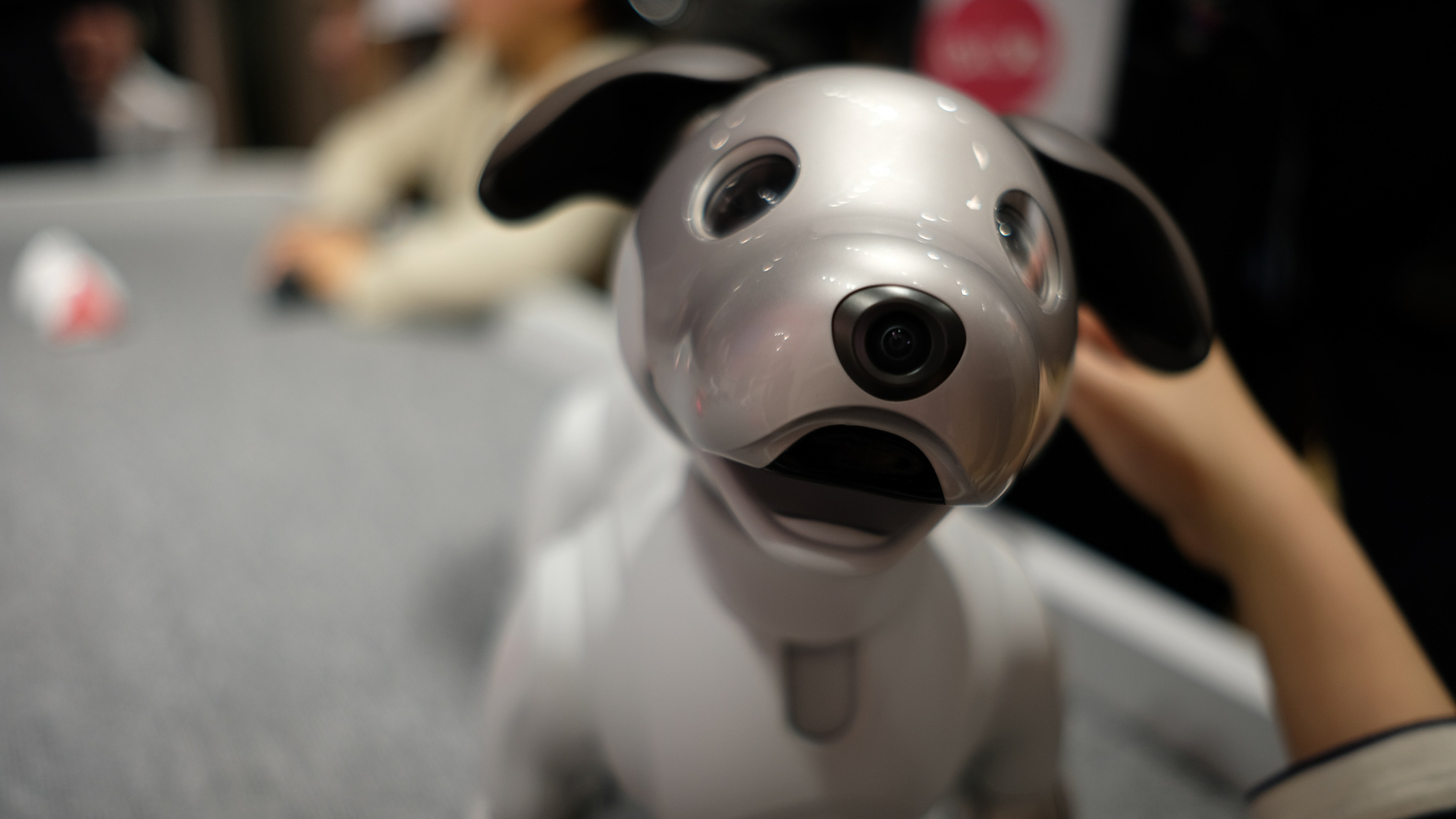 12年ぶりの新型aibo、便利に逃げないペットらしい設計に感銘を受けまし 