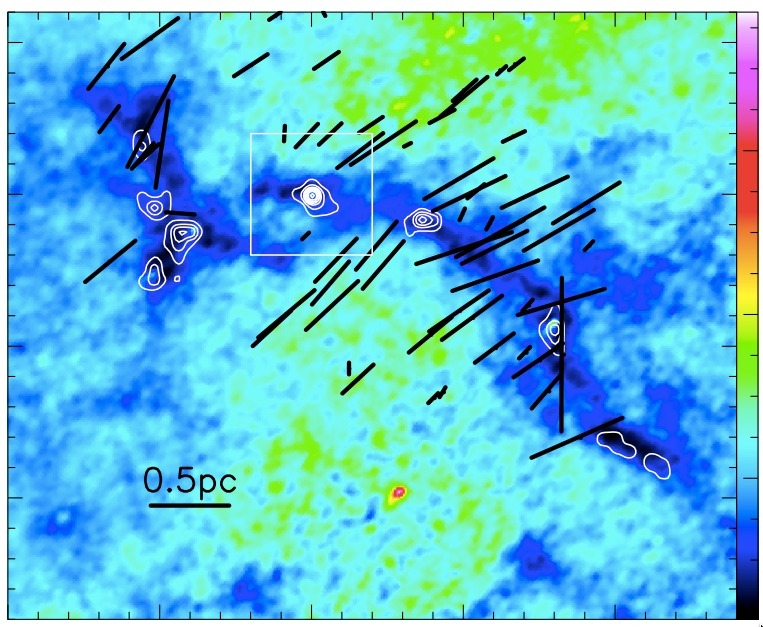 日本の赤外線天文衛星「あかり」で撮影した遠赤外線画像を解析して得た暗黒星雲の温度地図（カラー）に野辺山４５ｍ電波望遠鏡で観測した星を生む母体のガスの分布（白等高線）を重ね、カナダの研究者が近赤外線で観測した磁場の様子（黒い線）を比較したもの。星を生むガスはフィラメント状に分布し、そのなかでも濃いところで星が生まれているが、磁石の役割を理解することが本質的。画像サイズは横が１５光年、縦方向が８光年。（写真提供とクレジット説明・古屋准教授）
