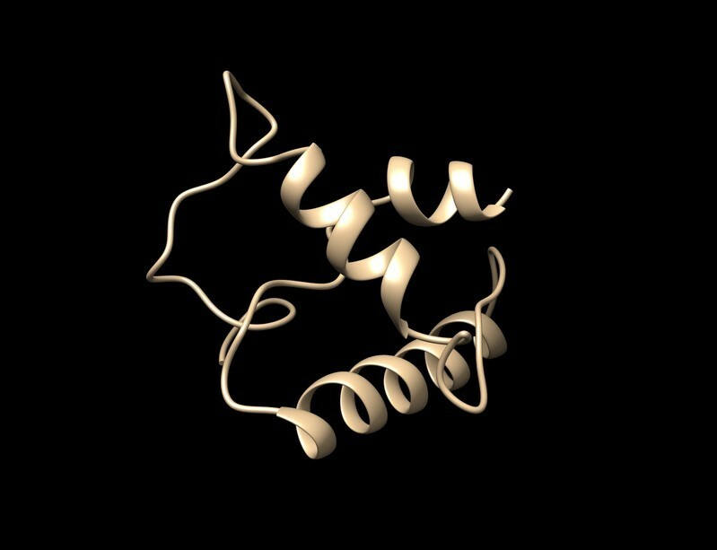 タンパク質Ｇ７２の構造写真