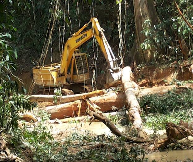 深刻な環境破壊・先住民の人権侵害を生む熱帯雨林の違法伐採 深刻な環境破壊・先住民の人権侵害を生む熱帯雨林の違法伐採